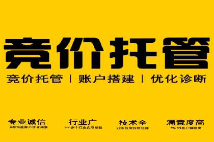 解析SEM代运营托管公司如何助力中小企业发展